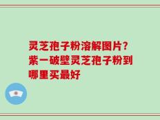 灵芝孢子粉溶解图片？紫一破壁灵芝孢子粉到哪里买最好