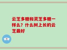 云芝多糖和灵芝多糖一样么？什么树上长的云芝最好