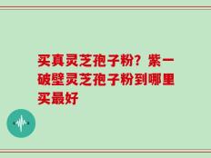 买真灵芝孢子粉？紫一破壁灵芝孢子粉到哪里买最好