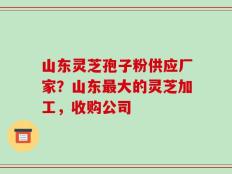 山东灵芝孢子粉供应厂家？山东最大的灵芝加工，收购公司