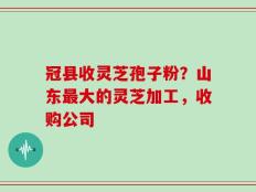 冠县收灵芝孢子粉？山东最大的灵芝加工，收购公司