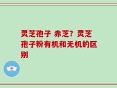 灵芝孢子 赤芝？灵芝孢子粉有机和无机的区别