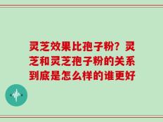 灵芝效果比孢子粉？灵芝和灵芝孢子粉的关系到底是怎么样的谁更好