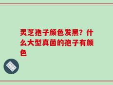 灵芝孢子颜色发黑？什么大型真菌的孢子有颜色