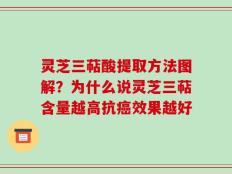灵芝三萜酸提取方法图解？为什么说灵芝三萜含量越高抗癌效果越好