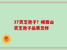 37灵芝孢子？峨眉山灵芝孢子品质怎样