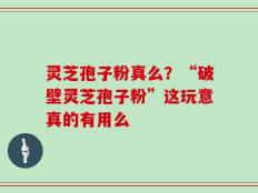 灵芝孢子粉真么？“破壁灵芝孢子粉”这玩意真的有用么