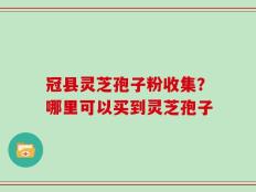冠县灵芝孢子粉收集？哪里可以买到灵芝孢子