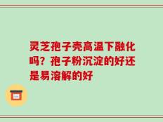 灵芝孢子壳高温下融化吗？孢子粉沉淀的好还是易溶解的好