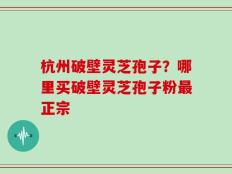 杭州破壁灵芝孢子？哪里买破壁灵芝孢子粉最正宗