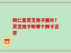 同仁堂灵芝孢子图片？灵芝孢子粉哪个牌子正宗