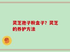 灵芝孢子粉盒子？灵芝的养护方法