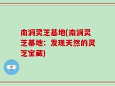 南洞灵芝基地(南洞灵芝基地：发现天然的灵芝宝藏)