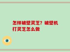 怎样破壁灵芝？破壁机打灵芝怎么做