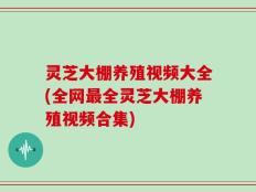 灵芝大棚养殖视频大全(全网最全灵芝大棚养殖视频合集)