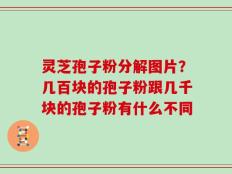 灵芝孢子粉分解图片？几百块的孢子粉跟几千块的孢子粉有什么不同