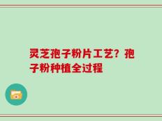 灵芝孢子粉片工艺？孢子粉种植全过程