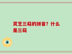 灵芝三萜的拼音？什么是三萜