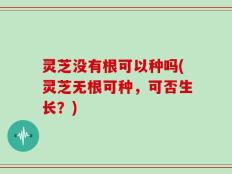 灵芝没有根可以种吗(灵芝无根可种，可否生长？)