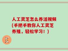 人工灵芝怎么养活视频(手把手教你人工灵芝养殖，轻松学习！)
