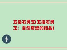 五指石灵芝(五指石灵芝：自然奇迹的结晶)