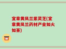 宜章黄凤兰紫灵芝(宜章黄凤兰药材产业如火如荼)