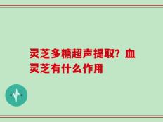 灵芝多糖超声提取？血灵芝有什么作用