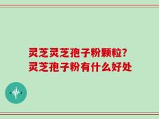 灵芝灵芝孢子粉颗粒？灵芝孢子粉有什么好处