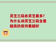 灵芝三萜赤灵芝最多？为什么说灵芝三萜含量越高抗癌效果越好