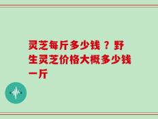 灵芝每斤多少钱 ？野生灵芝价格大概多少钱一斤