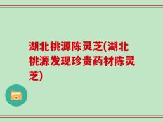 湖北桃源陈灵芝(湖北桃源发现珍贵药材陈灵芝)