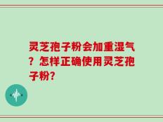 灵芝孢子粉会加重湿气？怎样正确使用灵芝孢子粉？