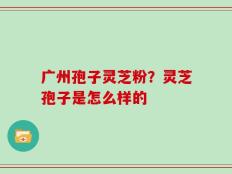 广州孢子灵芝粉？灵芝孢子是怎么样的