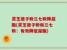 灵芝孢子粉三七粉降尿酸(灵芝孢子粉和三七粉：有效降低尿酸)