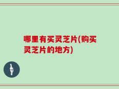 哪里有买灵芝片(购买灵芝片的地方)