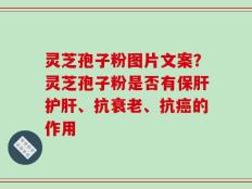 灵芝孢子粉图片文案？灵芝孢子粉是否有保肝护肝、抗衰老、抗癌的作用