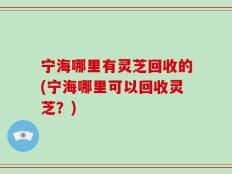 宁海哪里有灵芝回收的(宁海哪里可以回收灵芝？)