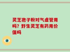 灵芝孢子粉对气虚管用吗？野生灵芝有药用价值吗