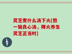 灵芝煮什么汤下火(熬一锅良心汤，降火养生灵芝正当时)