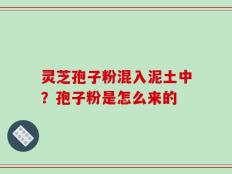 灵芝孢子粉混入泥土中？孢子粉是怎么来的