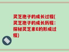 灵芝孢子的成长过程(灵芝孢子的成长历程：探秘灵芝素E的形成过程)