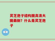 灵芝孢子结构图高清大图最新？什么是灵芝孢子