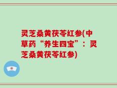 灵芝桑黄茯苓红参(中草药“养生四宝”：灵芝桑黄茯苓红参)