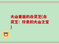 大山里面的白灵芝(白灵芝：珍贵的大山之宝)
