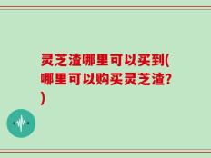 灵芝渣哪里可以买到(哪里可以购买灵芝渣？)