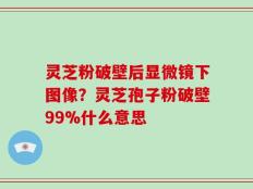 灵芝粉破壁后显微镜下图像？灵芝孢子粉破壁99%什么意思