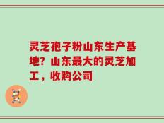 灵芝孢子粉山东生产基地？山东最大的灵芝加工，收购公司