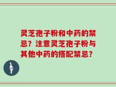 灵芝孢子粉和中药的禁忌？注意灵芝孢子粉与其他中药的搭配禁忌？