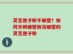 灵芝孢子粉不被壁？如何分辨破壁和没破壁的灵芝孢子粉