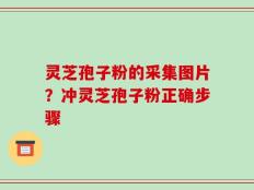 灵芝孢子粉的采集图片？冲灵芝孢子粉正确步骤